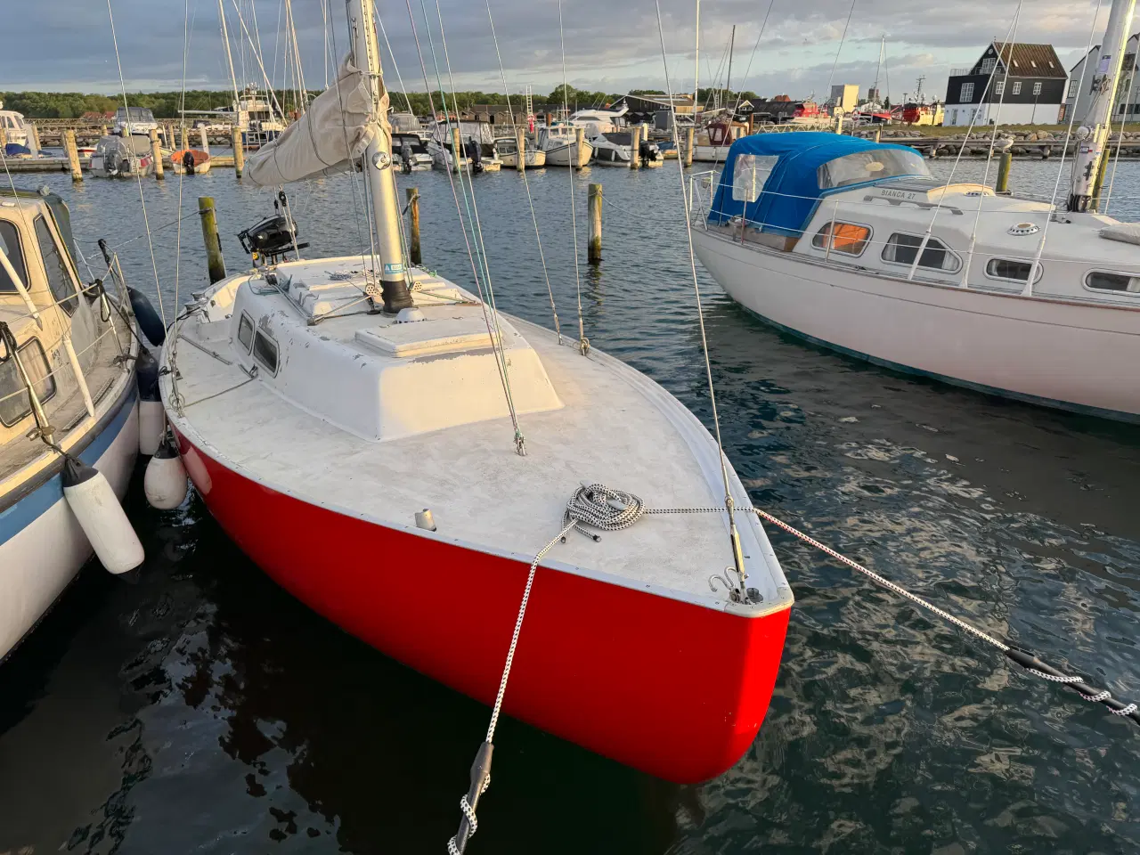 Billede 2 - Spækhugger til salg