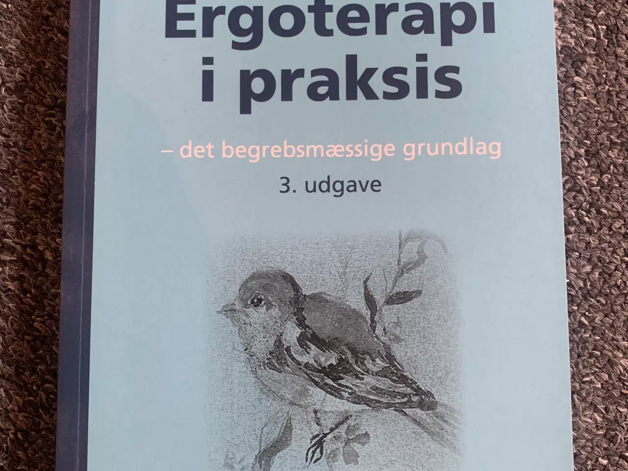Billede 3 - Studiebøger