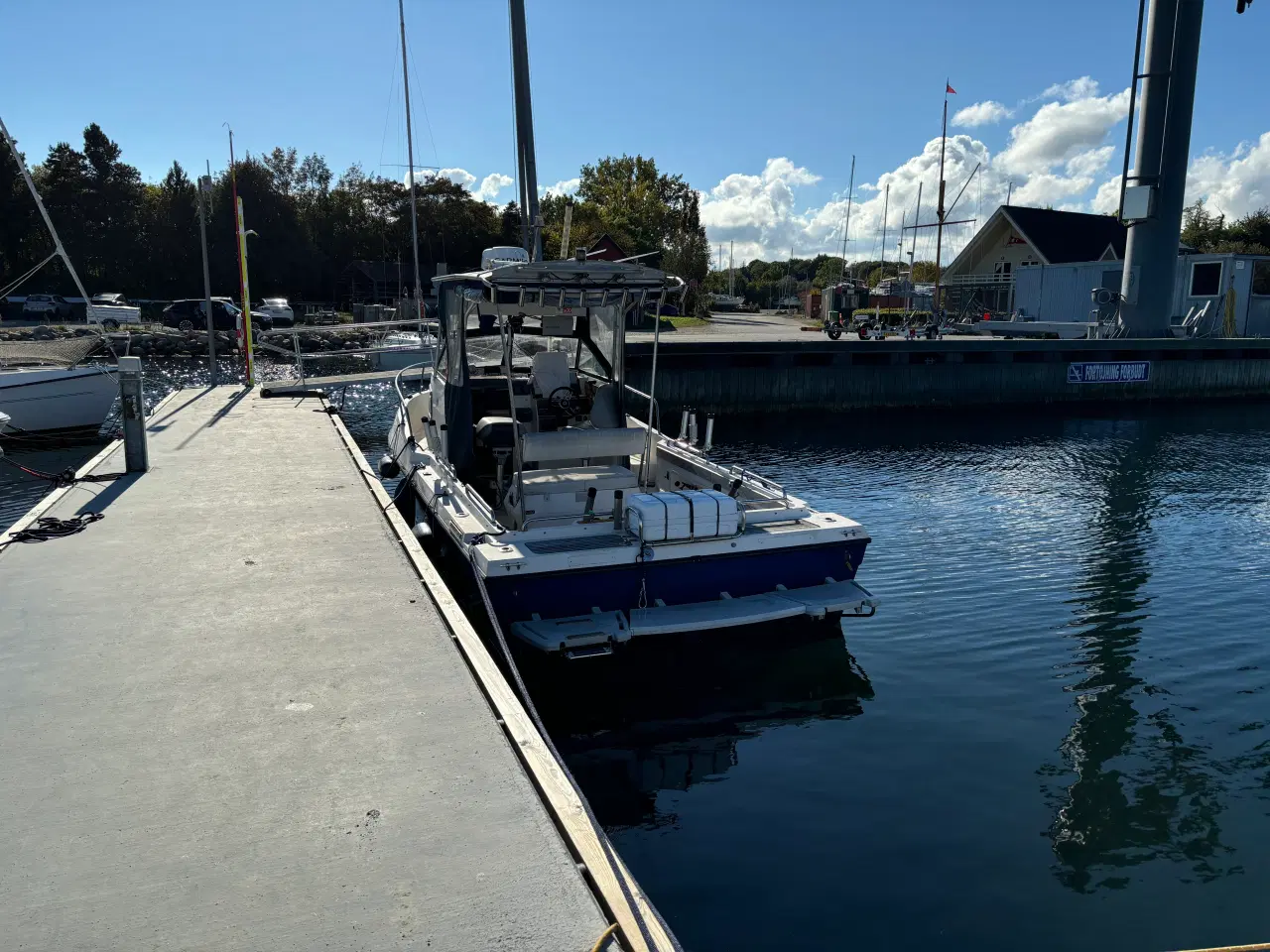 Billede 5 - Renken SeaMaster 2488