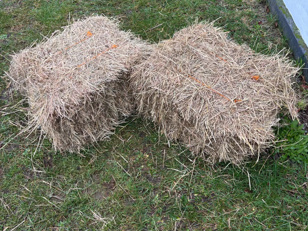 Billede 2 - Hø fra juli 2025