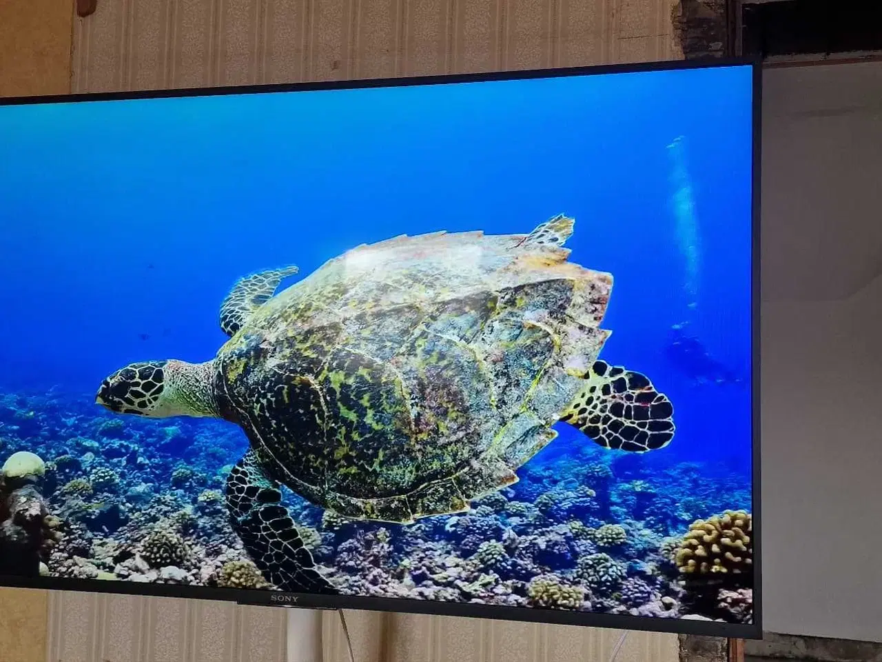 Billede 9 - Sony Bravia 4K 55" Android Smart tv. 