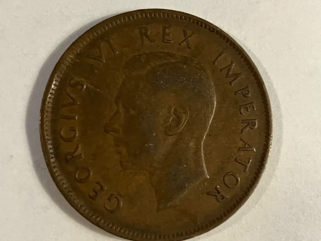 Billede 2 - 1D South Africa 1941