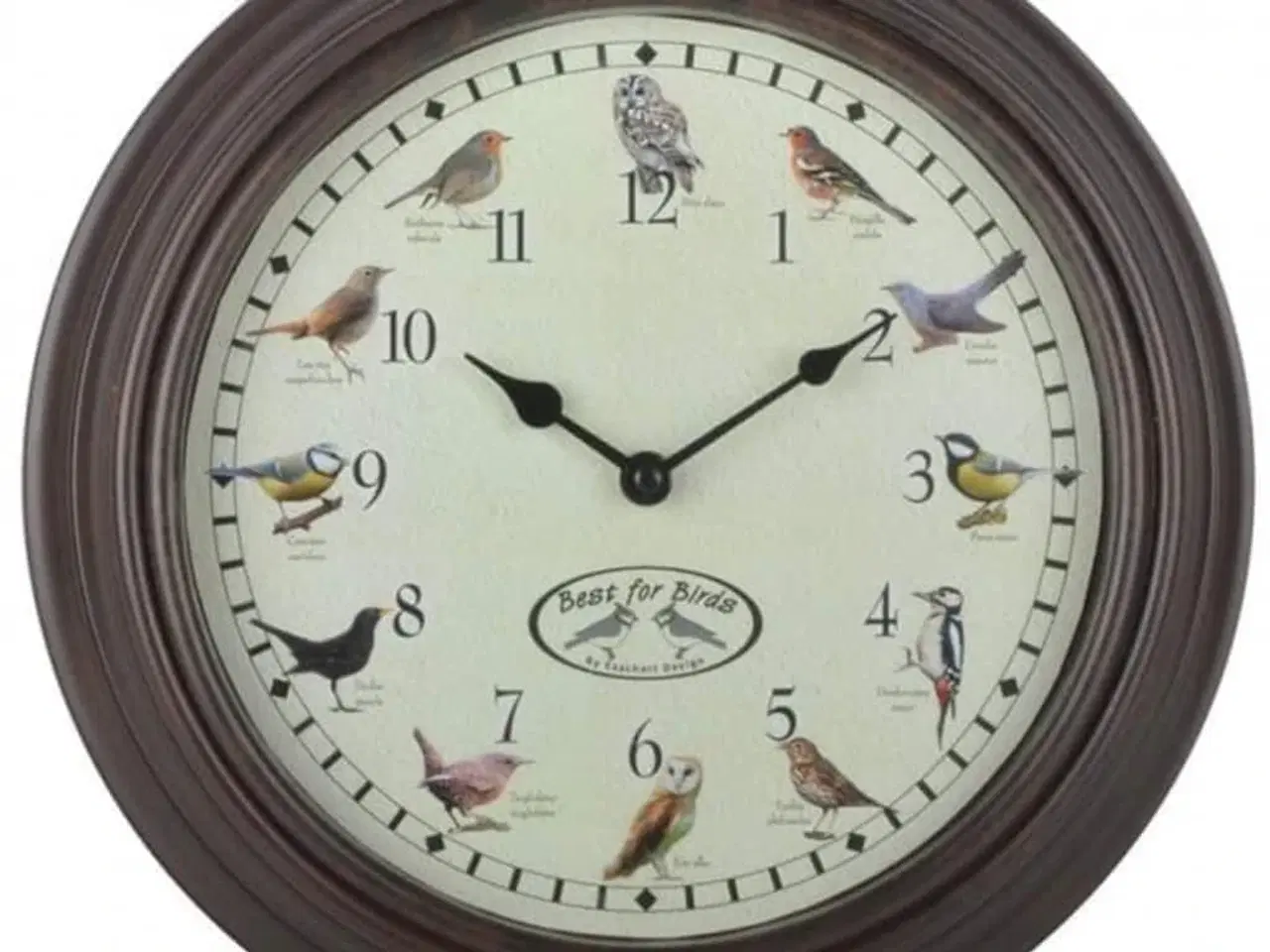 Billede 1 - ur med fuglelyde
