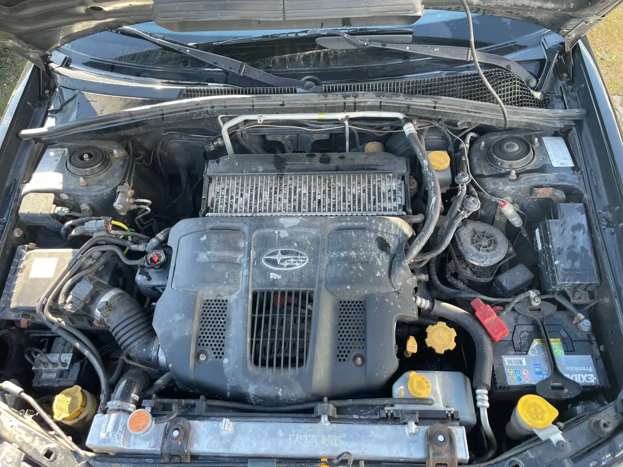 Billede 14 - Subaru forester 