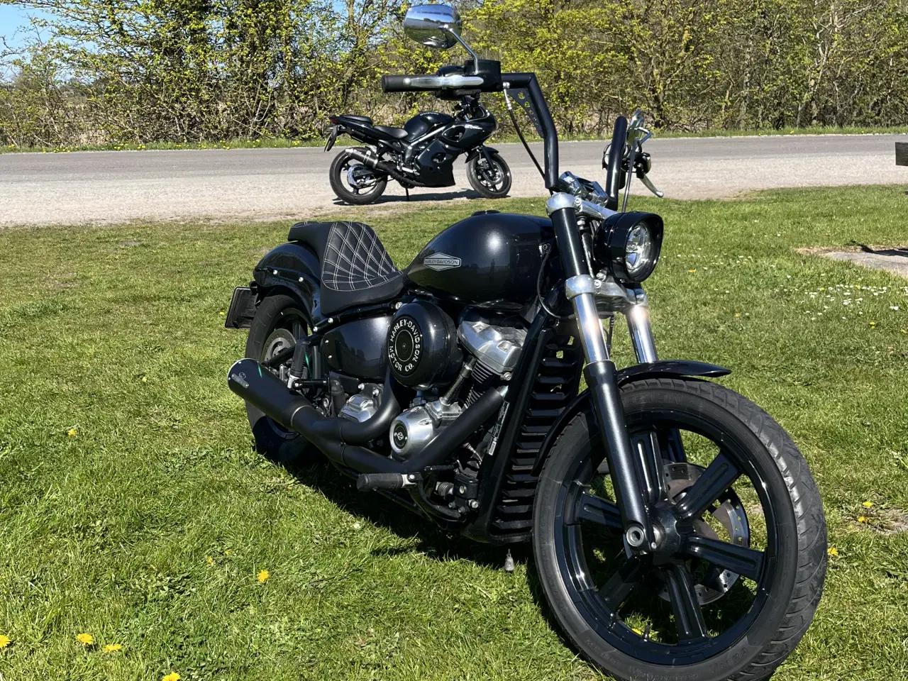 Billede 1 - Street bob / Standart 107