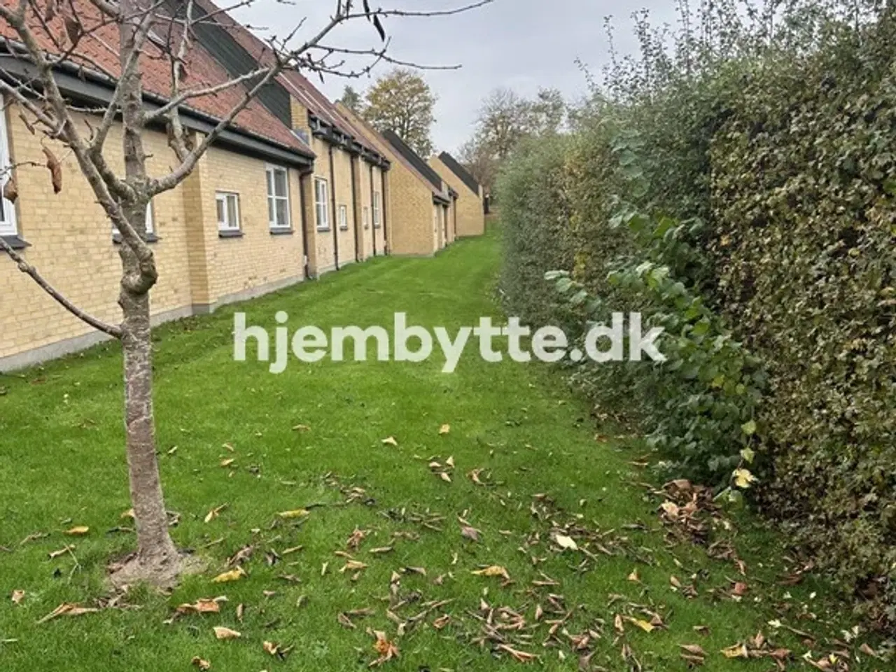 Billede 10 - Hjembytte - Elmeparken