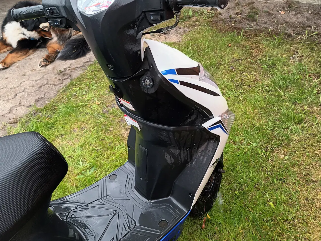 Billede 3 - Scooter VGA 45