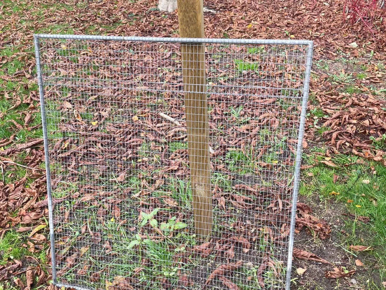 Billede 2 - Voliere rammer bred