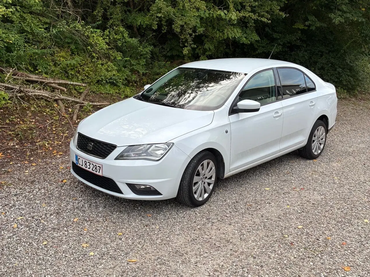 Billede 1 - Seat Toledo 1,2 TSi 105 Style