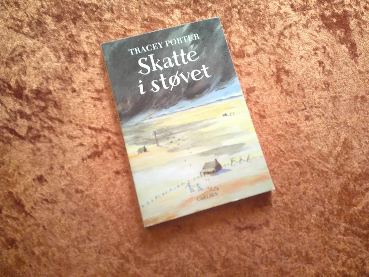 Billede 1 - Skatte i støvet, Tracey Porter