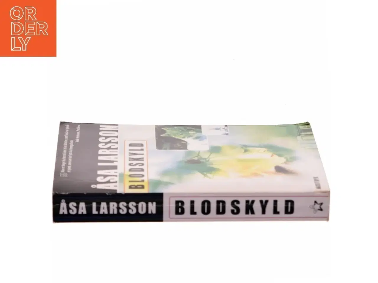 Billede 2 - Blodskyld af Åsa Larsson (Bog)
