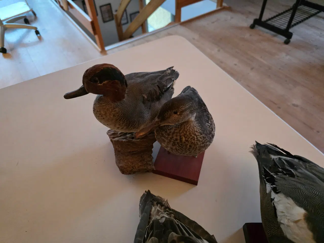 Billede 6 - Svømmeænder sælges samlet eller hver for sig