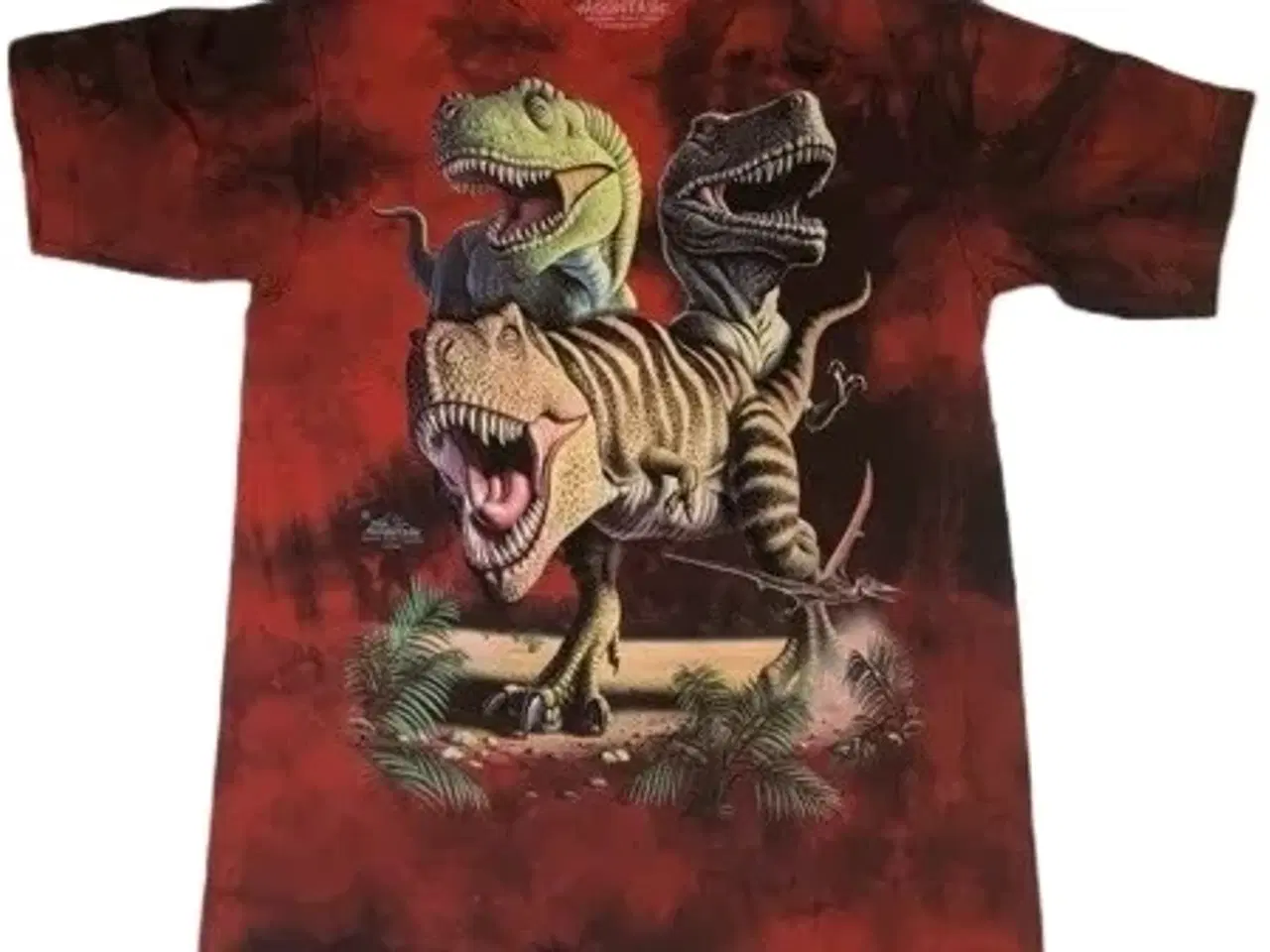 Billede 1 - Store børne/teenager dino T-shirts fra TheMountain