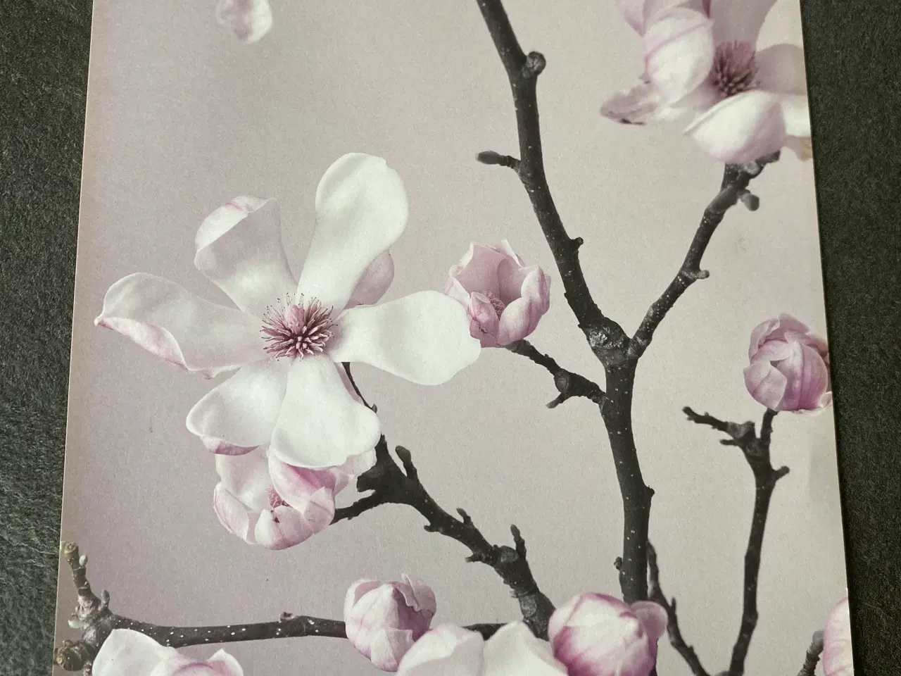 Billede 1 - Plakat med blomster 21x30