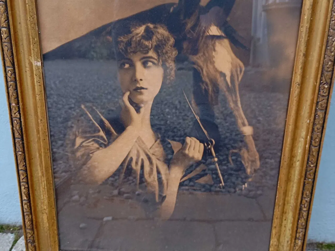 Billede 6 - Antikke gamle billeder af kvinder og heste