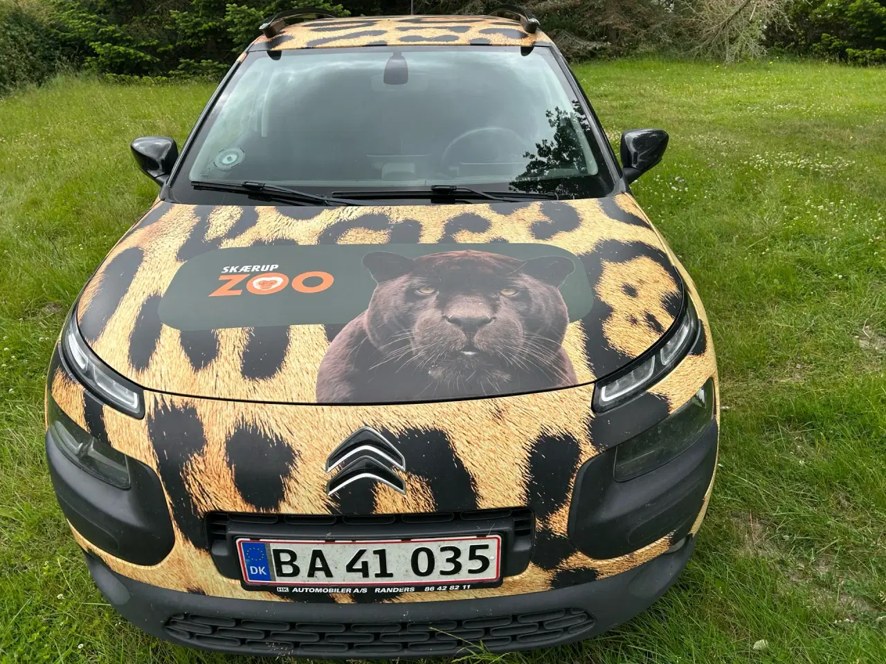 Billede 7 - Citroën C4 Cactus 1,6 Blue HDi Shine start/stop 100HK 5d
