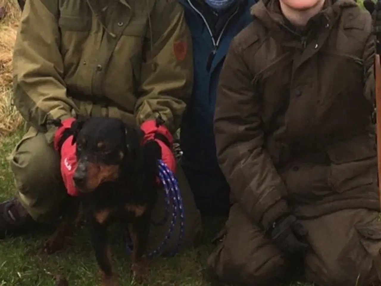 Billede 10 - Tysk Jagtterrier hvalpe salgsklar - 2 hanner