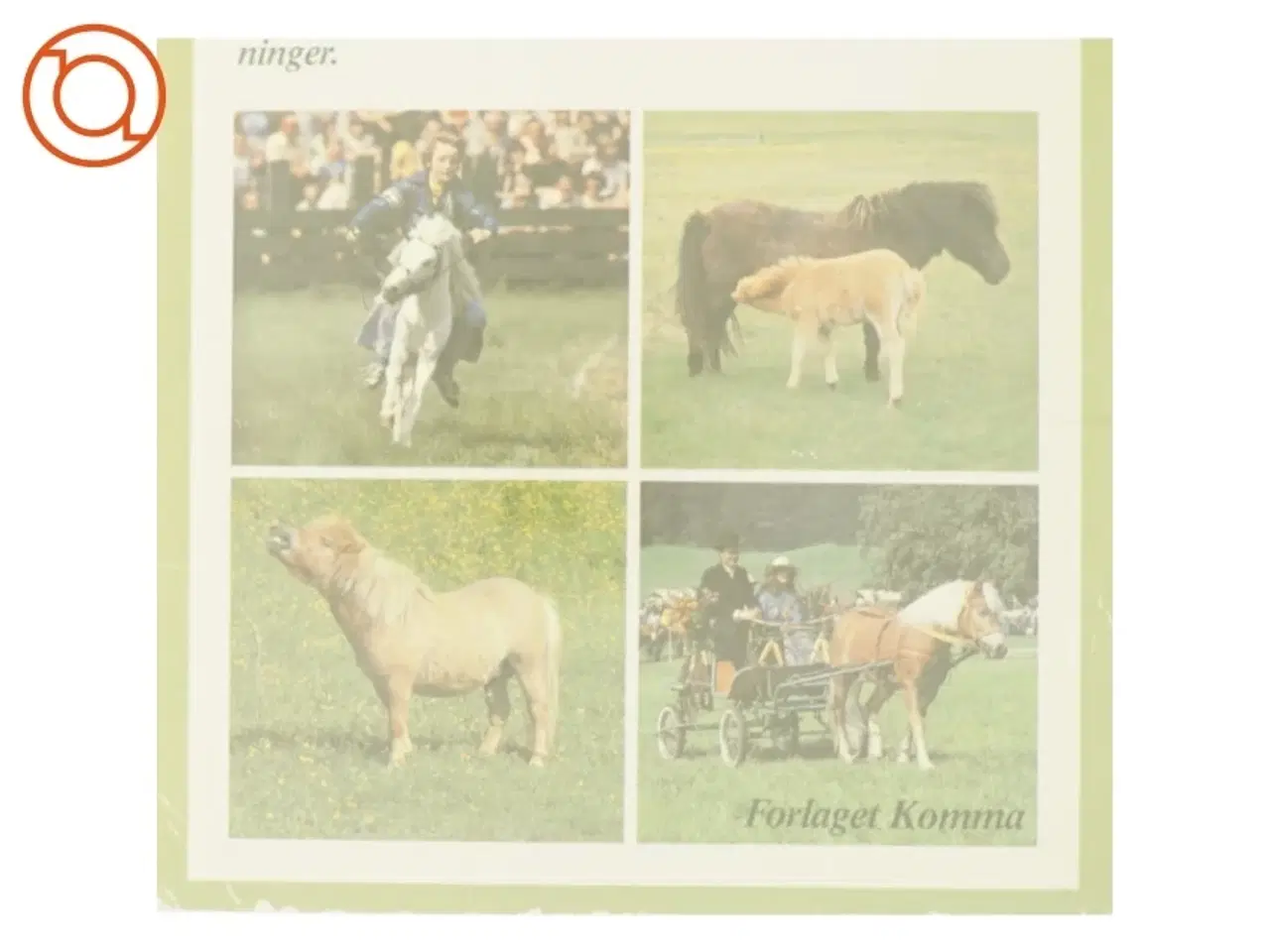 Billede 3 - Ponyer af Herta F. Kraupa-Tuskany fra Bog