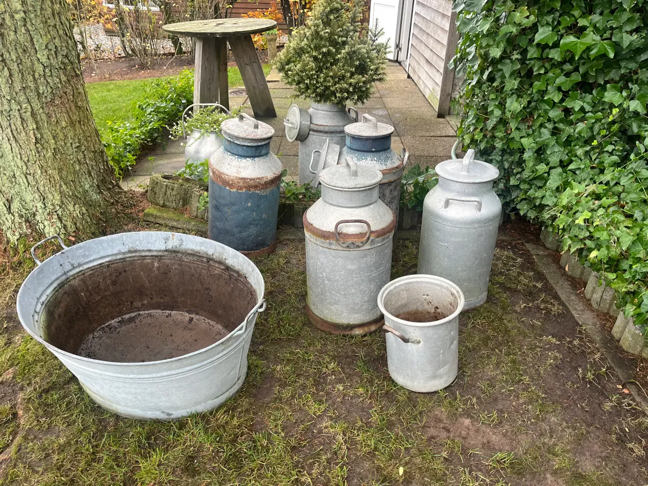 Billede 4 - Mælkejunger og zinkbalje 