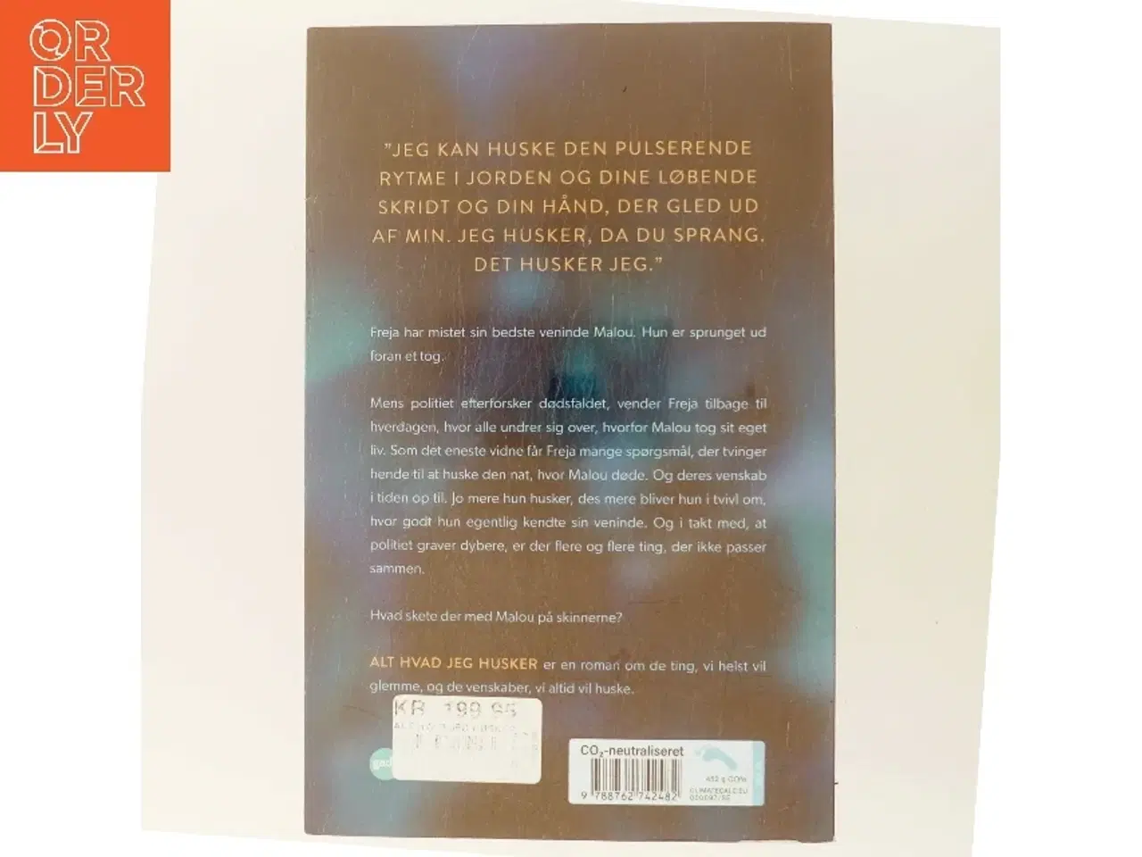 Billede 3 - Alt hvad jeg husker af Michala Elk (f. 1991) (Bog)