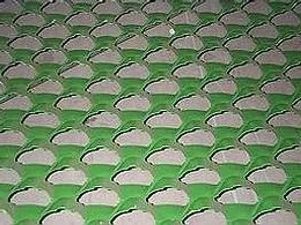 Billede 3 - - - - Majssolde og majsbro