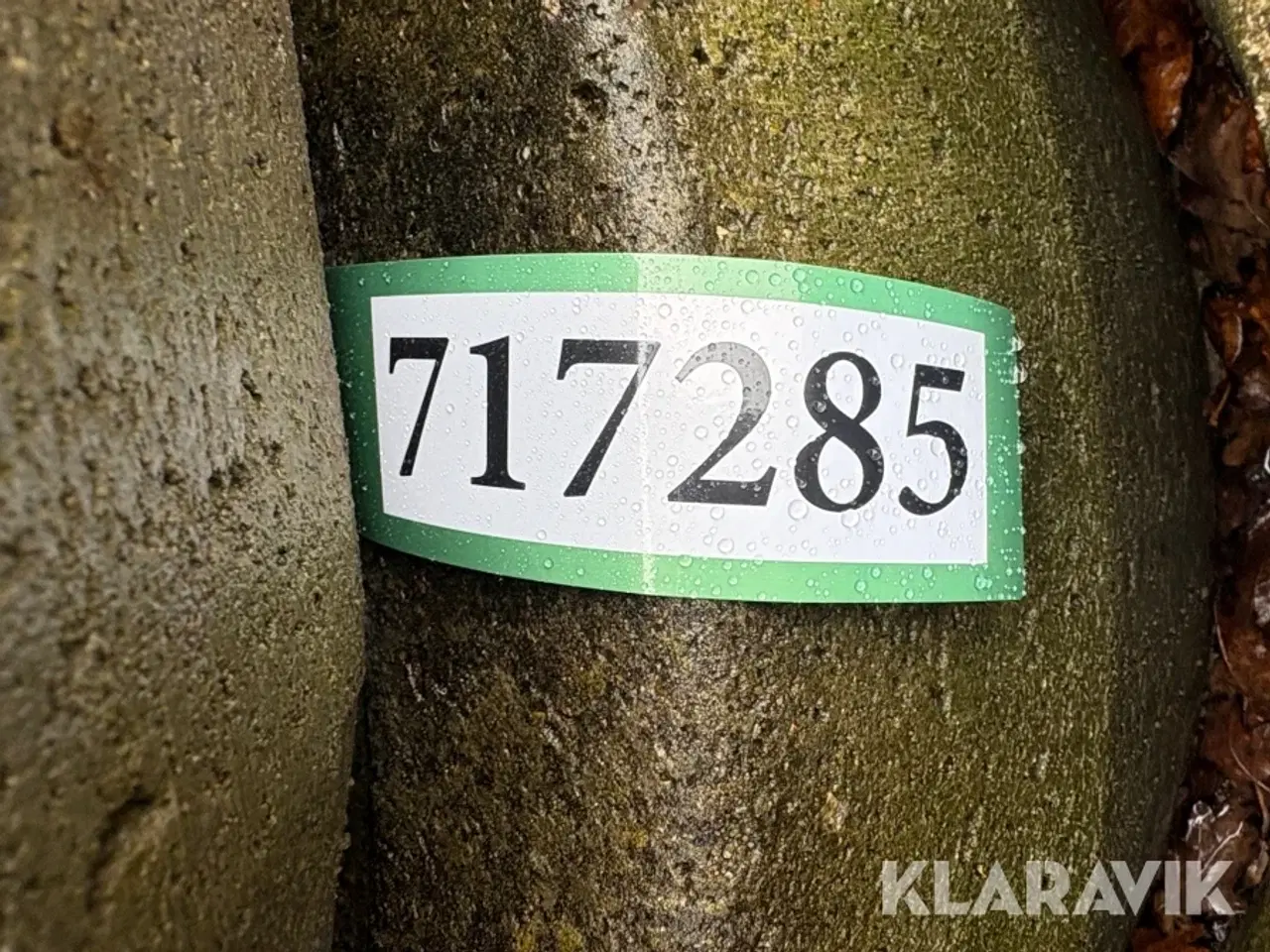 Billede 10 - Betonvarer - blandet lot