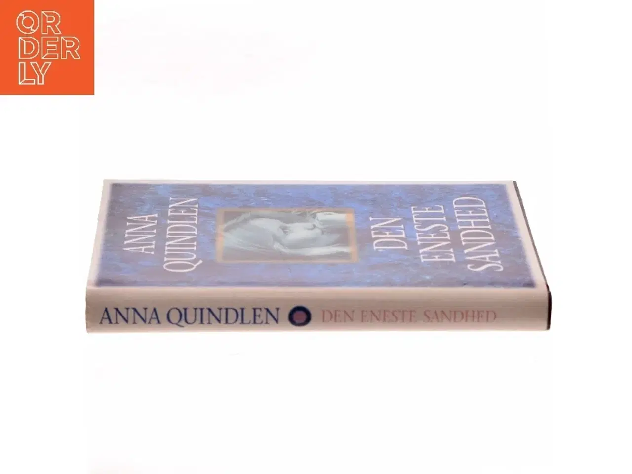 Billede 2 - Den Eneste Sandhed af Anna Quindlen (Bog)