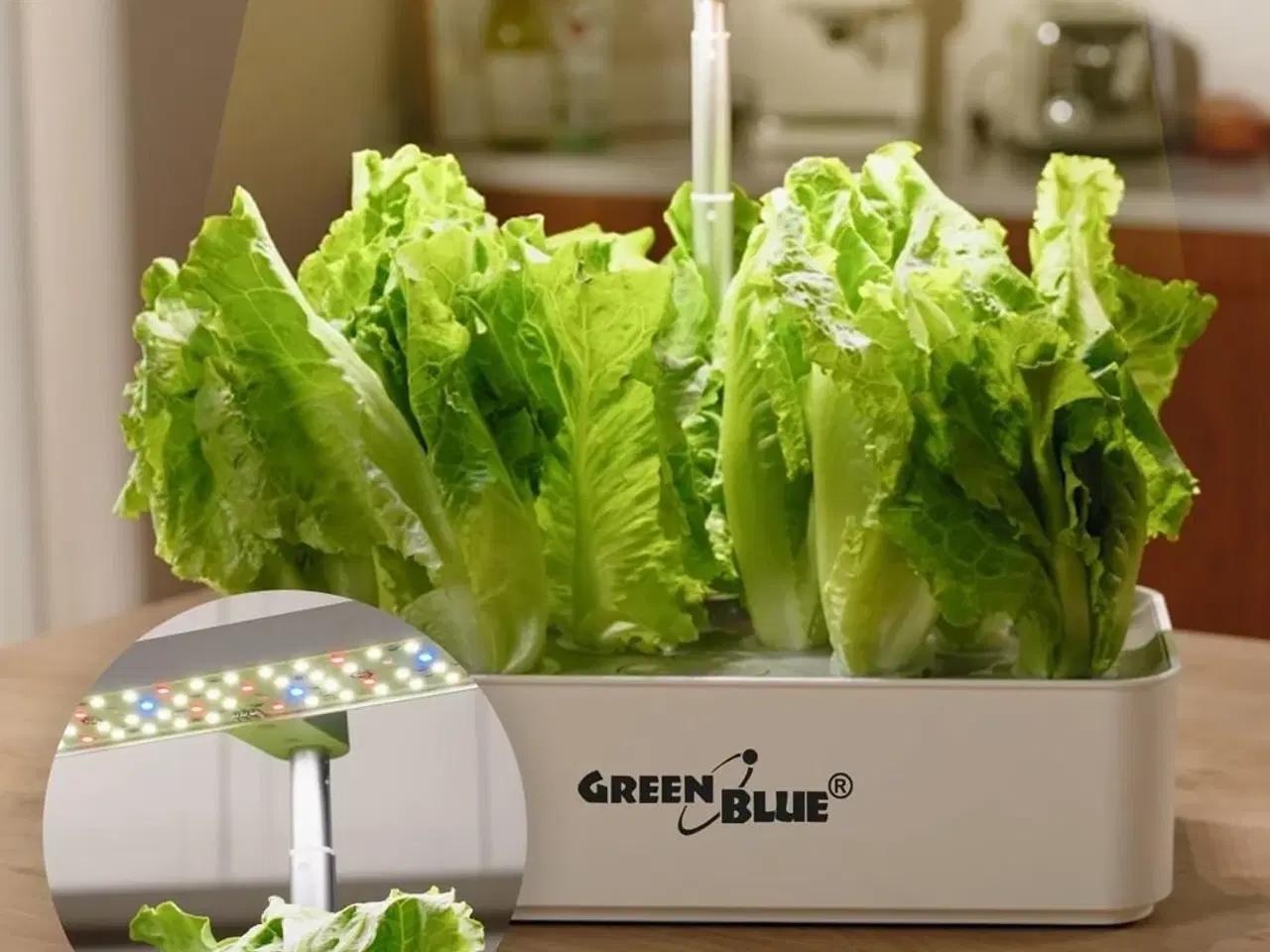 Billede 13 - Smart indendørs dyrkningssystem – GreenBlue, 4 l, 12 planter, fuldspektrum LED