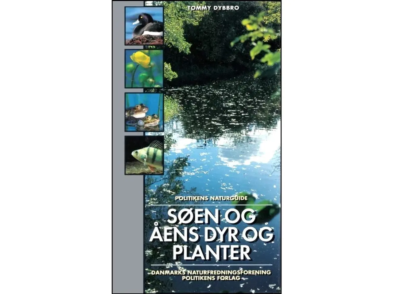 Billede 3 - Strandens dyr og planter