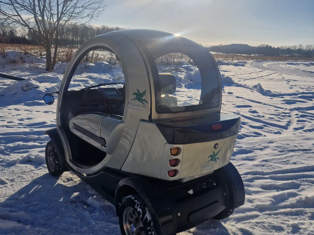 Billede 5 - Pegasus Isfuglen "Sommer model"