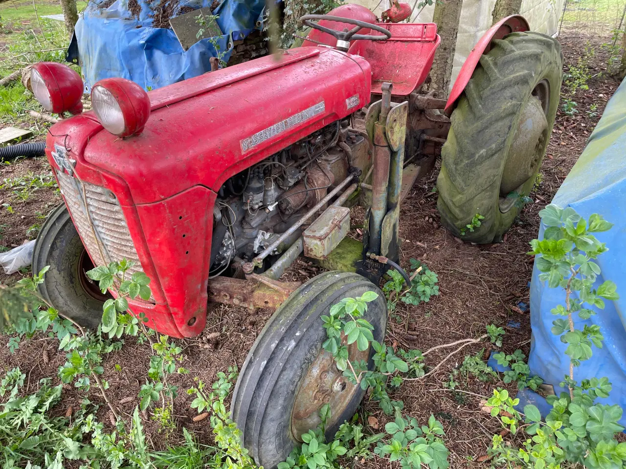 Billede 2 - Massey Ferguson 35