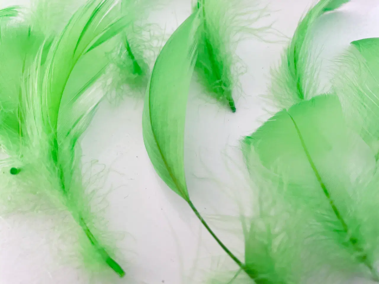 Billede 2 - Lysegrønne fjer til dekoration