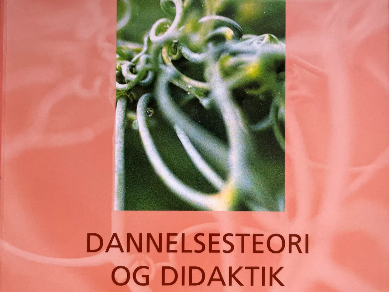 Billede 1 - Dannelsesteori og didaktik af Wolfgang Klafki