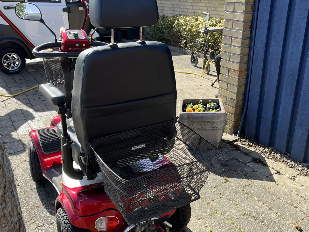 Billede 4 - Pegasus Sneppen