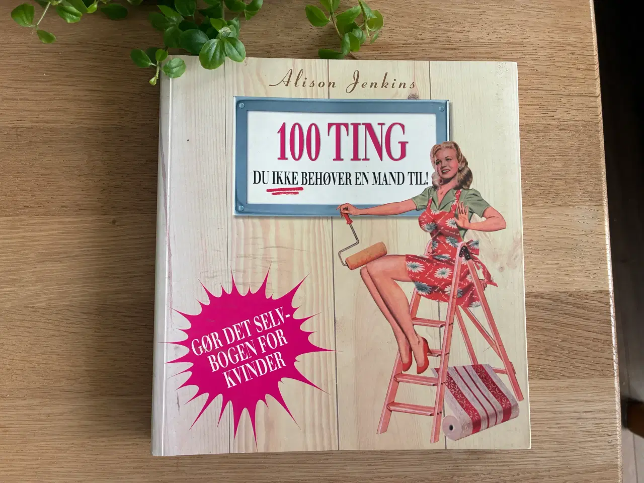 Billede 1 - 100 TING du ikke behøver en mand til!