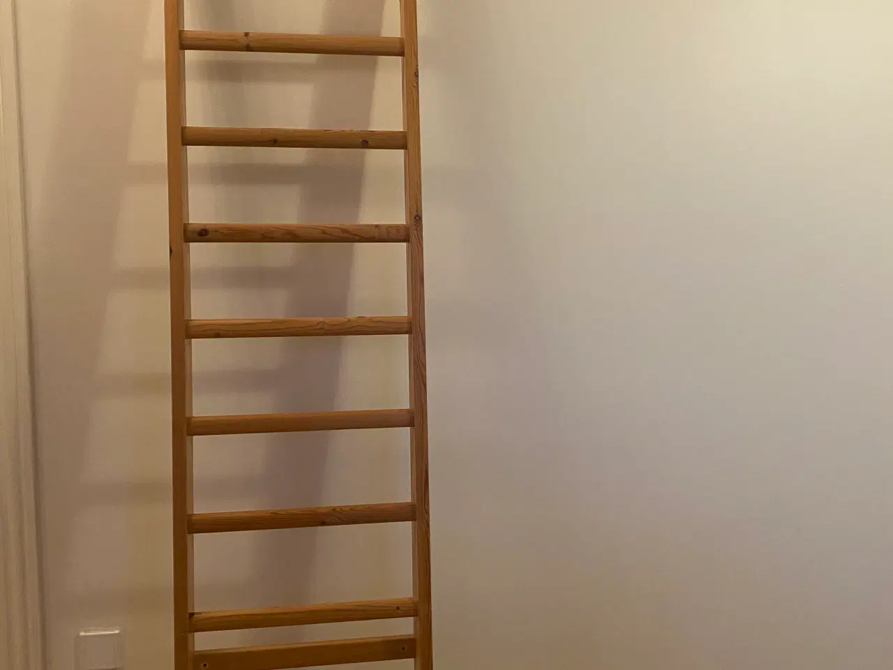 Billede 2 - Hemsestier