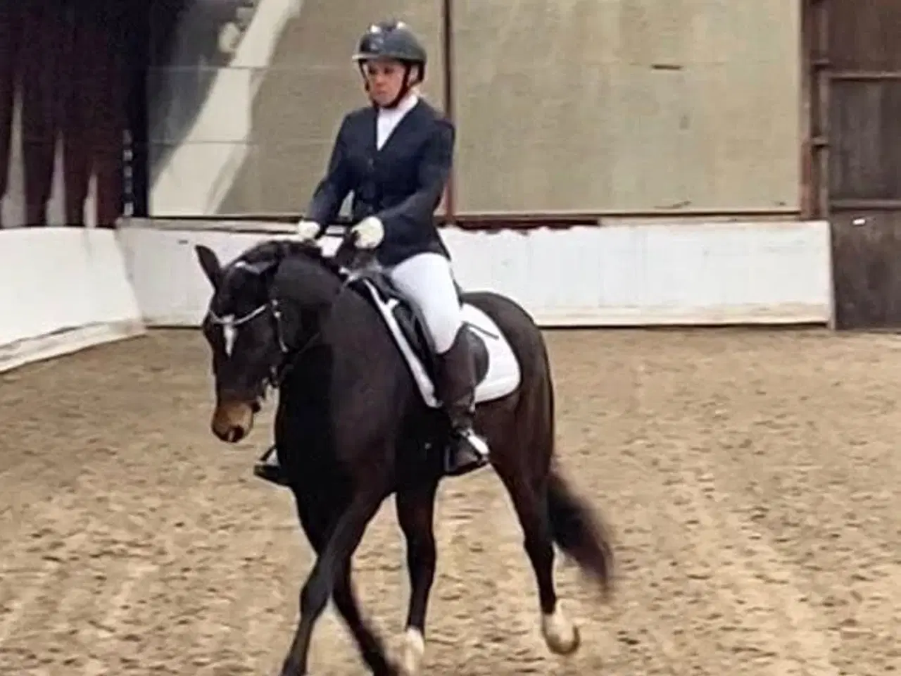 Billede 10 - Allround 2’er pony søger sin nye familie 
