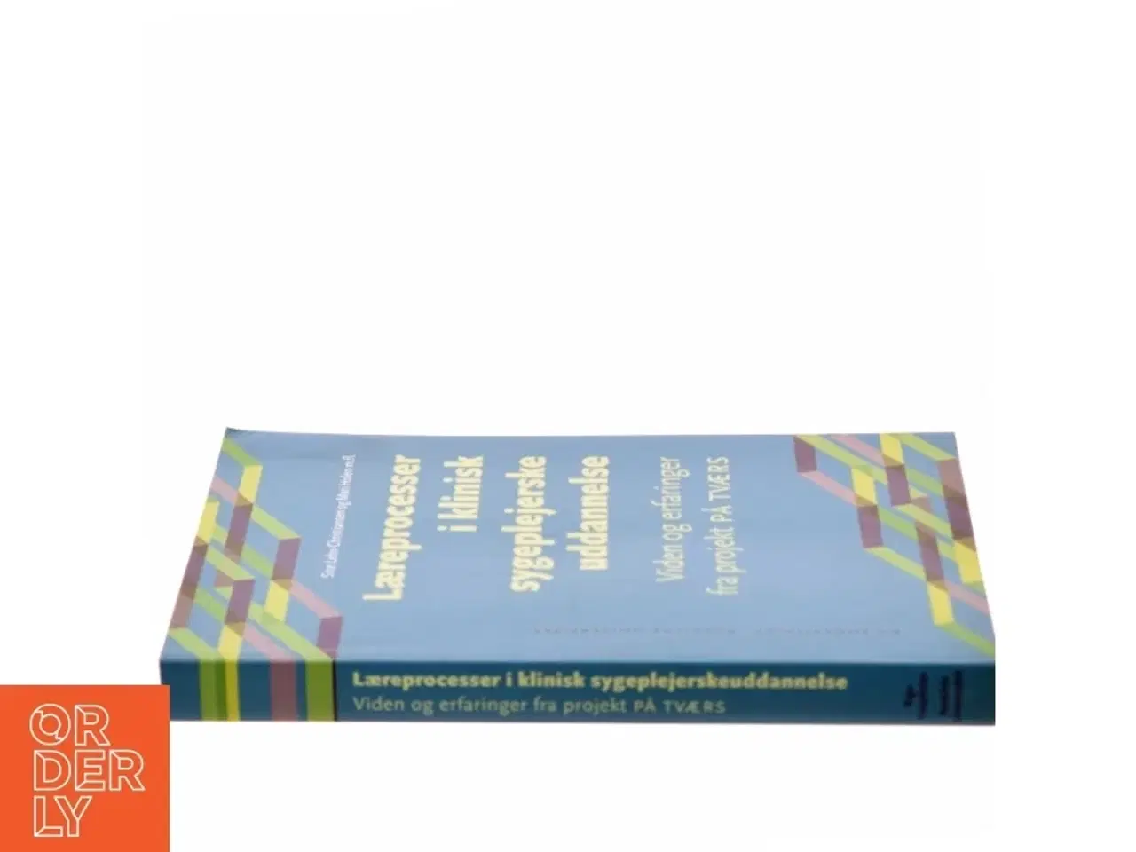 Billede 2 - Læreprocesser i klinisk sygeplejerskeuddannelse : viden og erfaringer fra projekt På Tværs af Mari Holen (Bog)