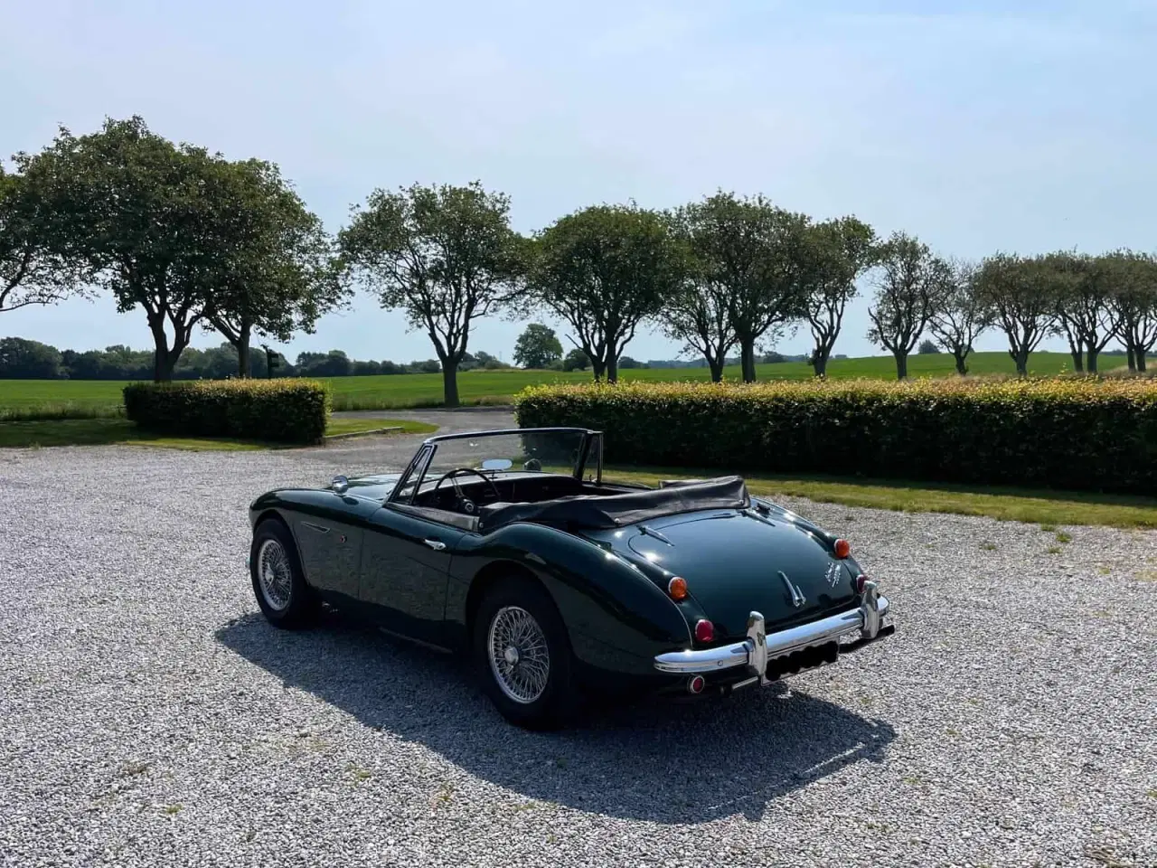 Billede 4 - Austin Healey 3000 BJ8 MK III årg 1966