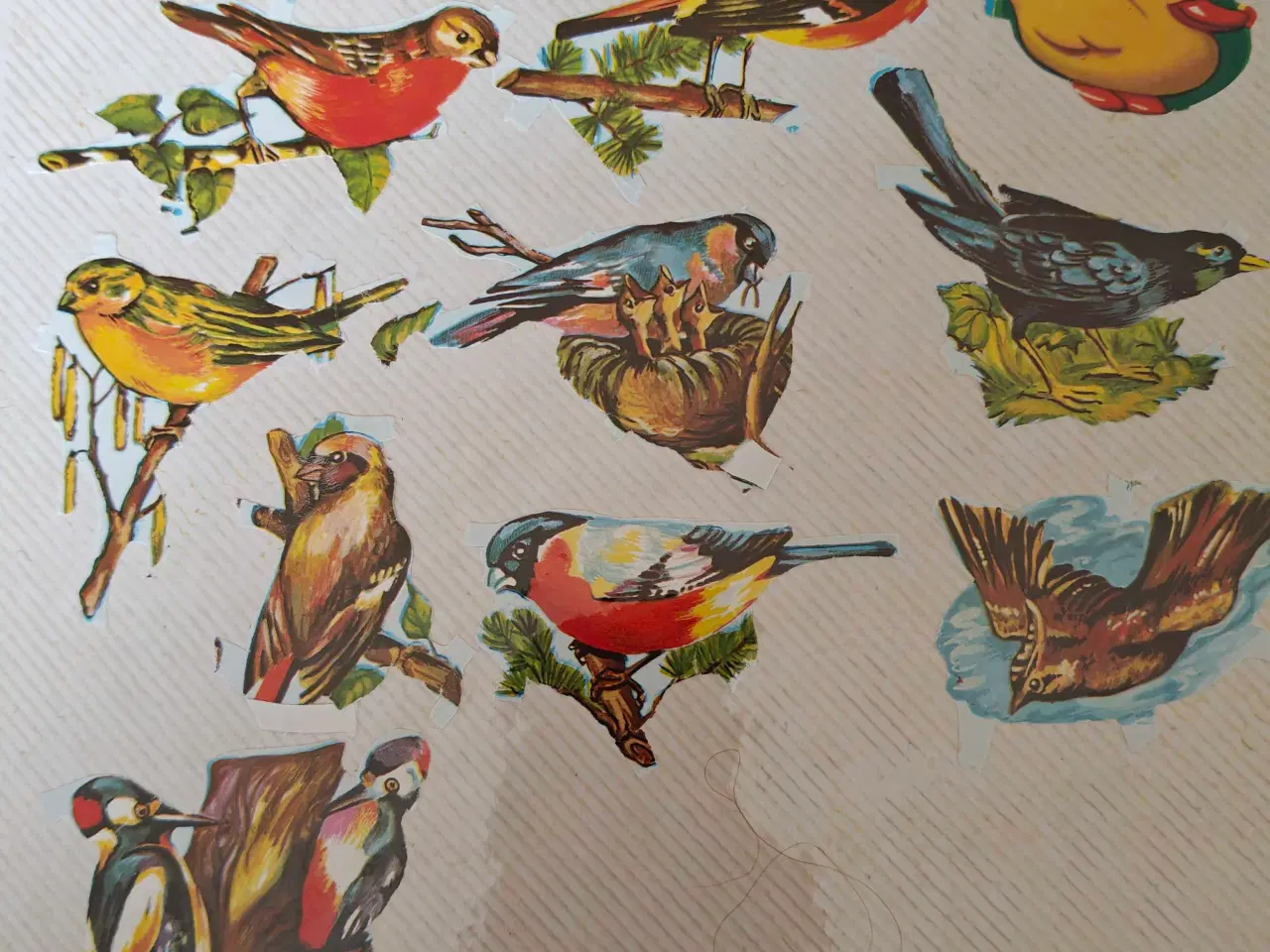 Billede 18 - Glansbilleder i mapper 