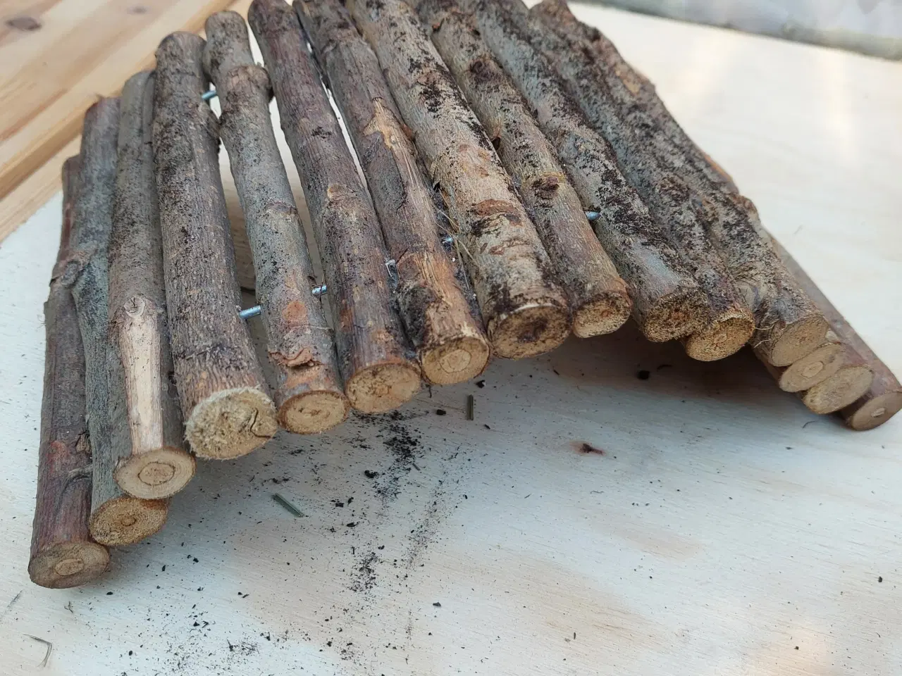 Billede 6 - hule/hus/bro til gnavere