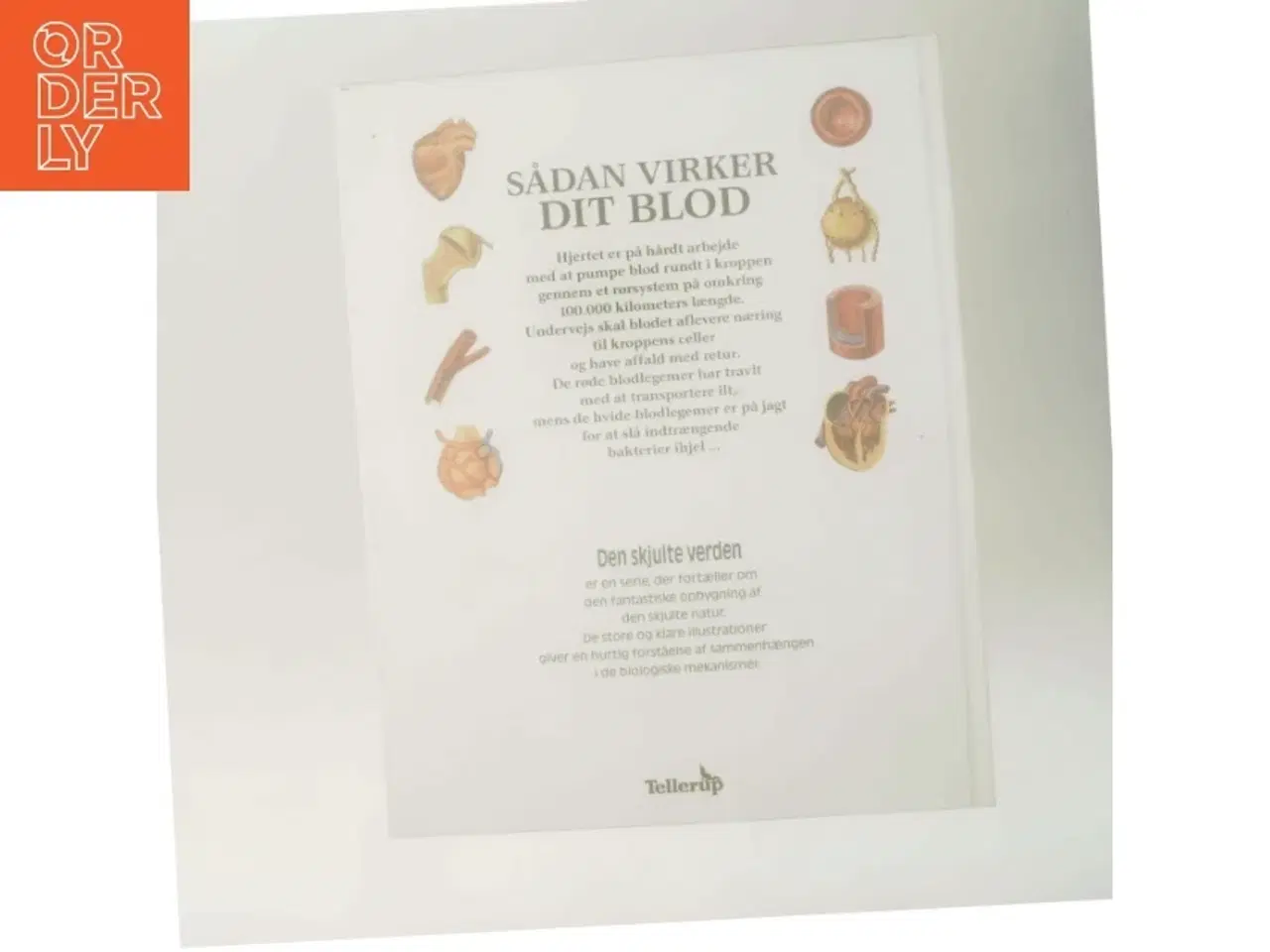 Billede 3 - Sådan virker dit blod (Bog)