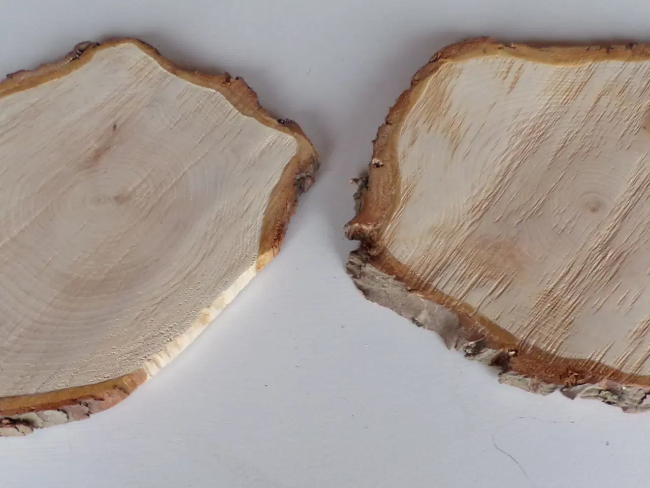 Billede 1 - Nye thuja træskiver 28 - 29,5 cm