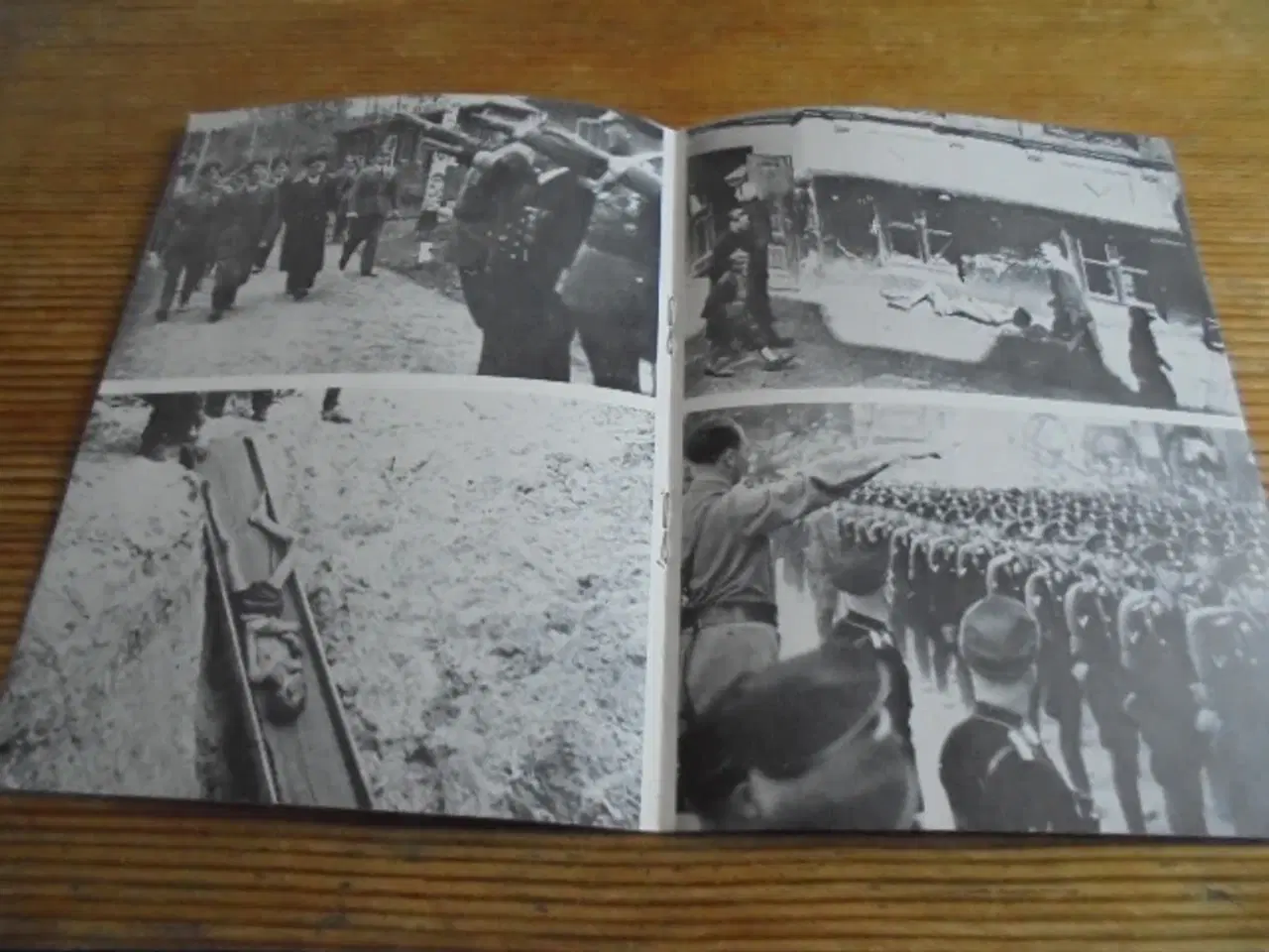 Billede 5 - Filmprogrammer: ”Lebenshorn” og ”Mein Kampf”  