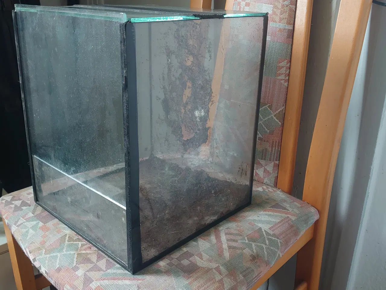 Billede 3 - Små Terrarium 