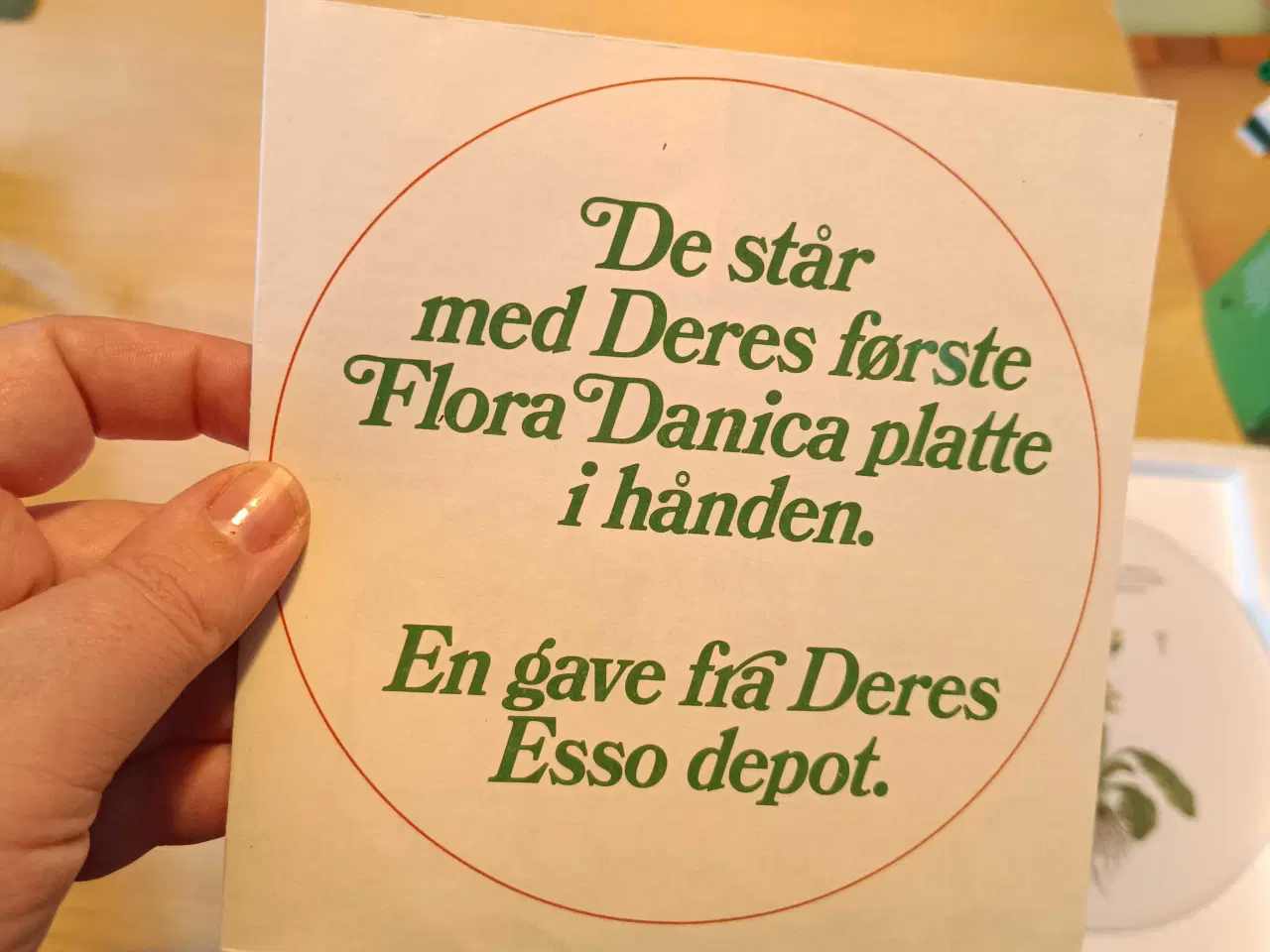 Billede 6 - Flora Danica Platte sæt