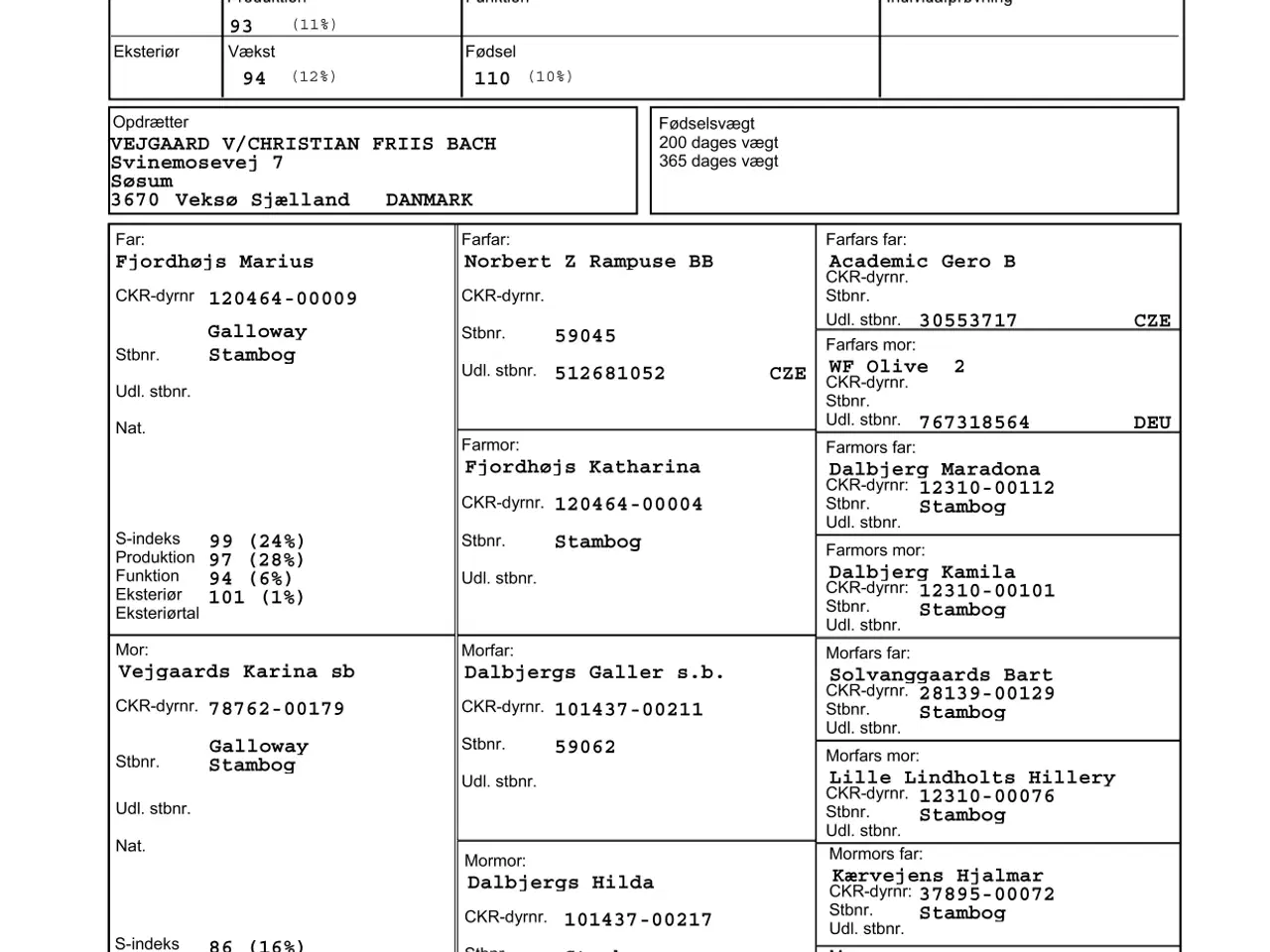Billede 4 - Galloway tyrekalve, stamtavle, økologiske