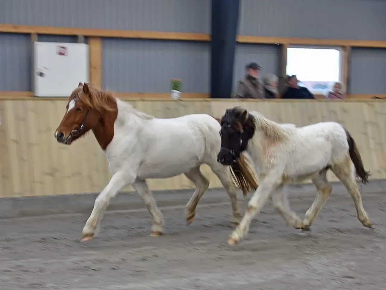 Billede 5 - Jule tilbud