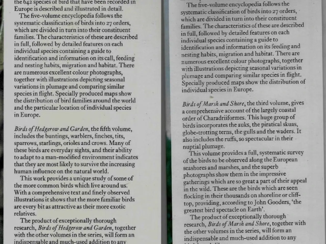 Billede 9 - Orbis Encyclopedia of Birds of Britain and Europe