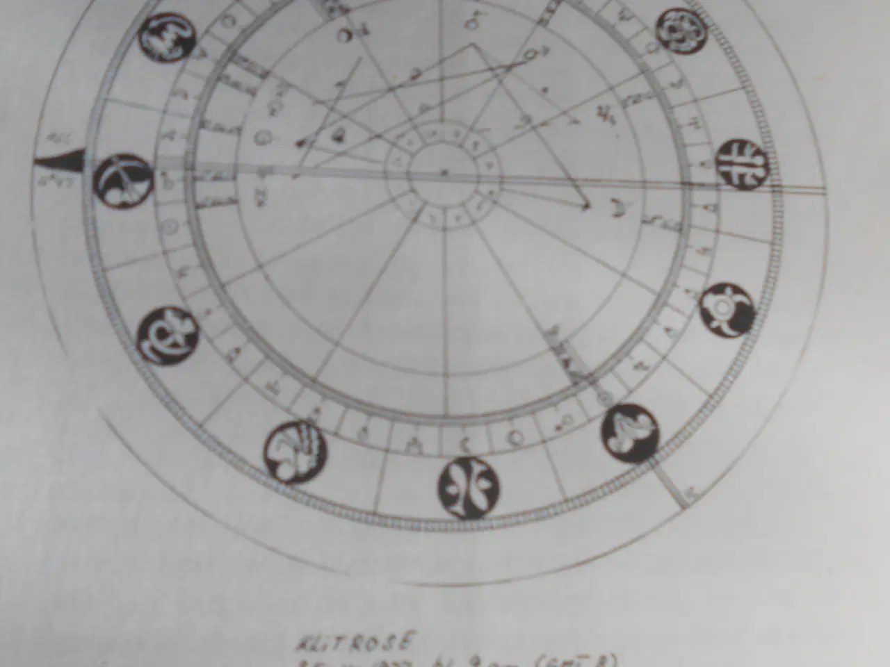 Billede 2 - Fødselshoroskop og psykodynamik, Sigrid Strauss-Kl